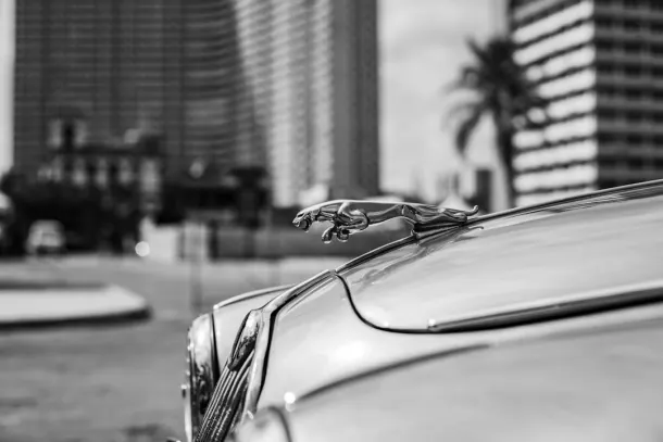 Casino Extra Android/iOS Forrit